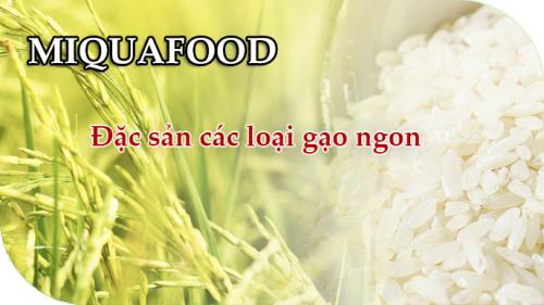 Các loại gạo