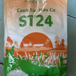 GẠO THƠM ĐẶC SẢN ST24